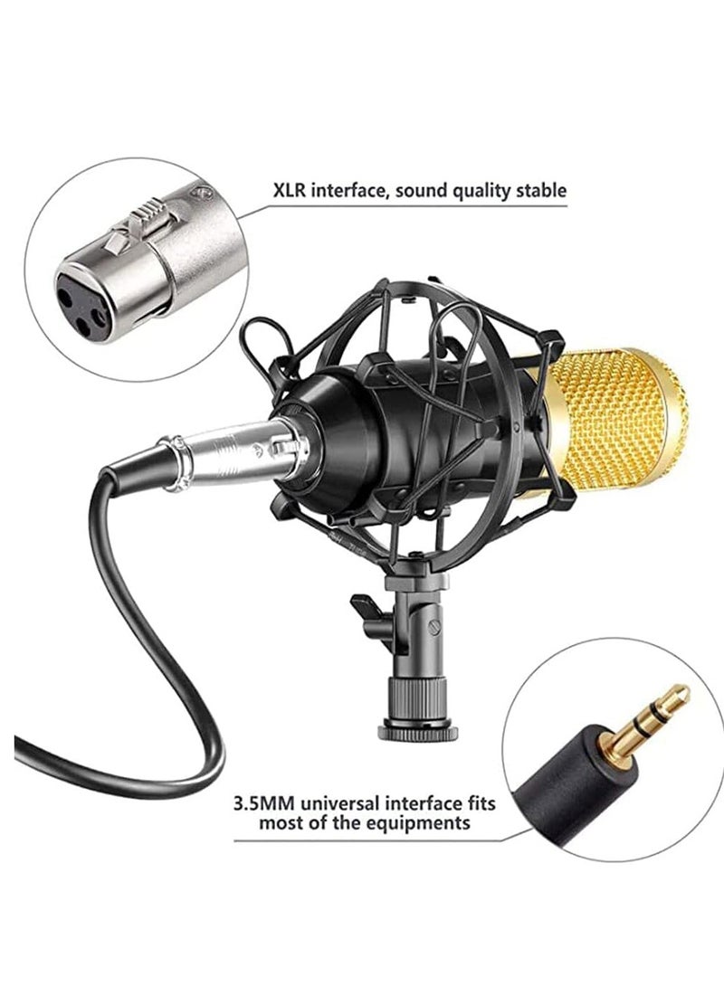 Gravity Professional BM800 Condenser Microphone Kit for PC Microphone Studio For Computer Karaoke Sound Card Recording Microphone, Auxiliary - Image 2