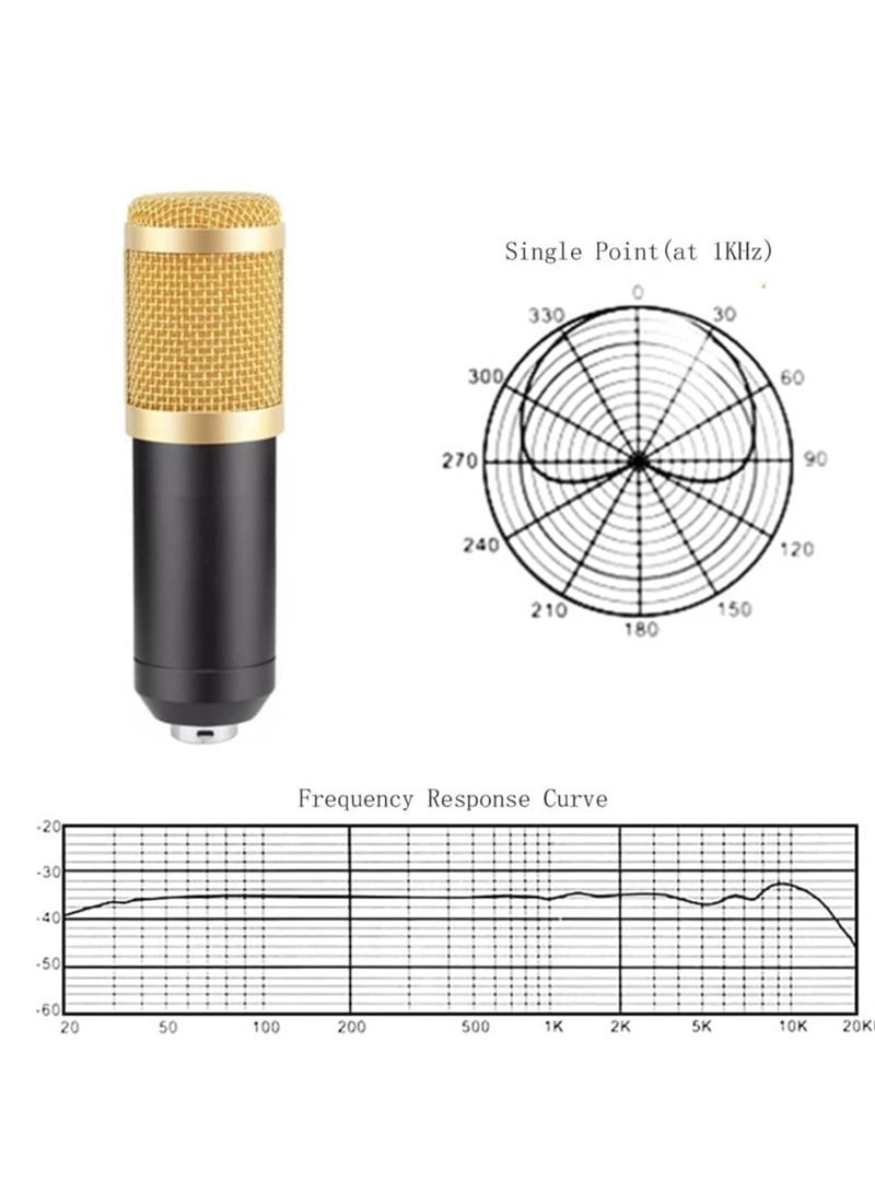 Gravity Professional BM800 Condenser Microphone Kit for PC Microphone Studio For Computer Karaoke Sound Card Recording Microphone, Auxiliary - Image 4