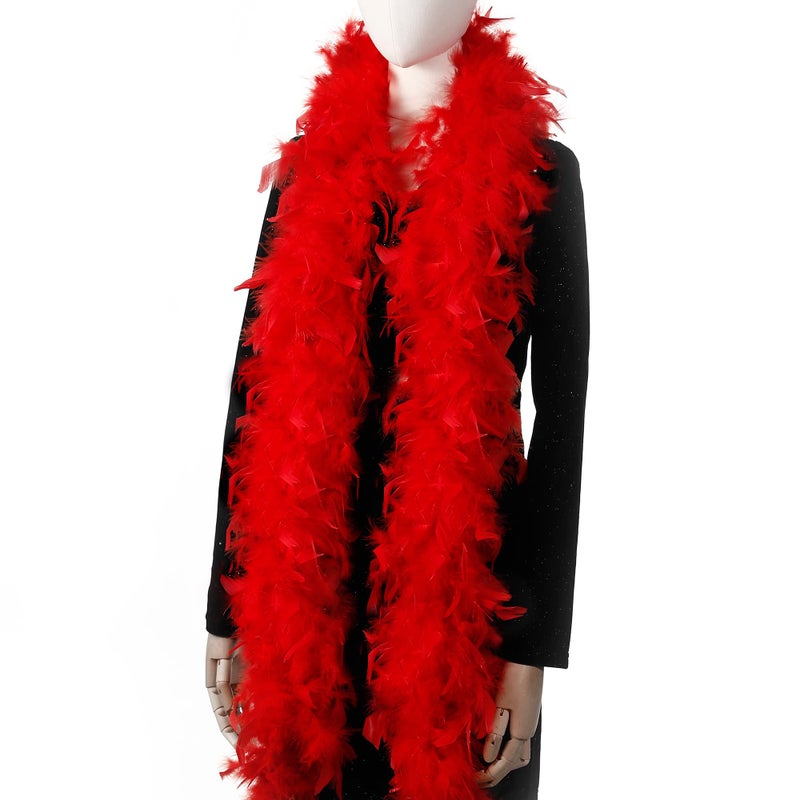 Larryhot Red Feather Boa Feathers  45g 2 Yards Boas for Party BulkChristmasWedding CenterpiecesConcertArt Photo and Home Decor45gRed