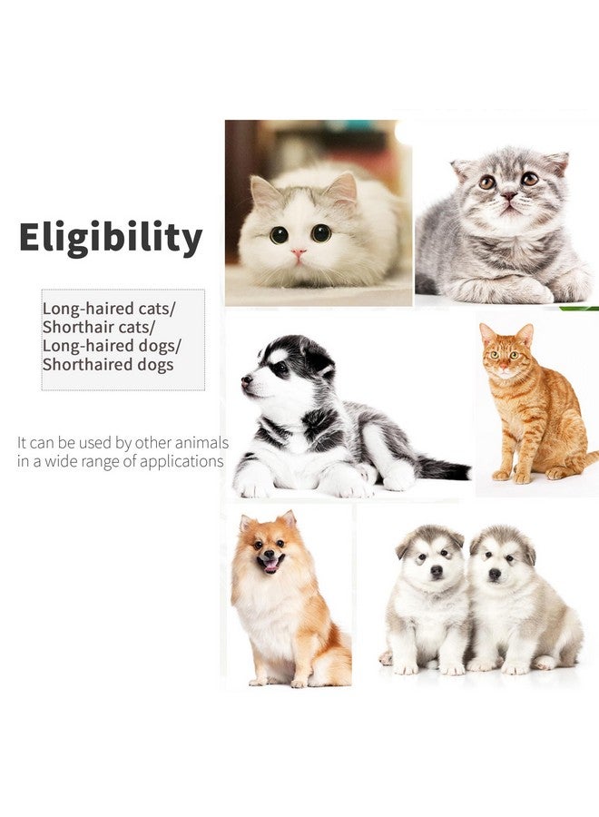 Pet Grooming Comb for Cats & Dogs Removing Tangles and Knots Removes Tangles Knots Stainless Steel Pins Tear Stain Removal - Image 3