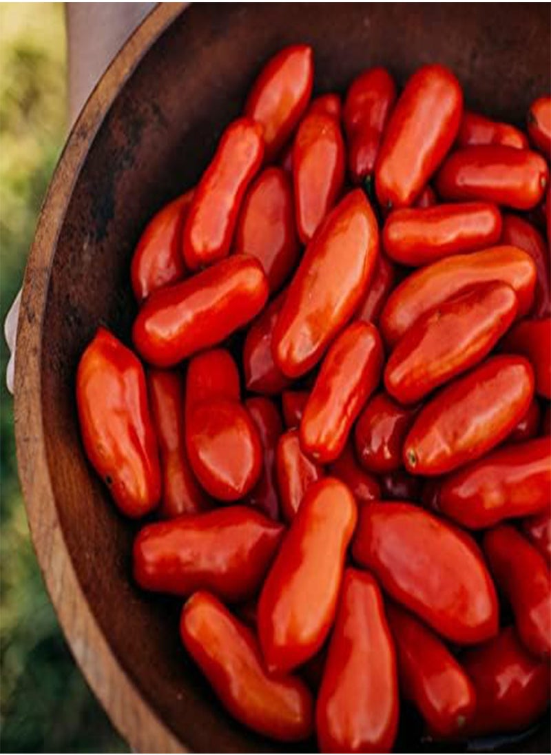GGOOT Opalka Heirloom Paste Tomato - 50 Seeds - Rare Polish Variety, Nearly Seedless Tomatoes, Great for Canning, USA-Grown, Non-GMO Seeds for Planting Outdoors in The Home Garden, Thres  - Image 1