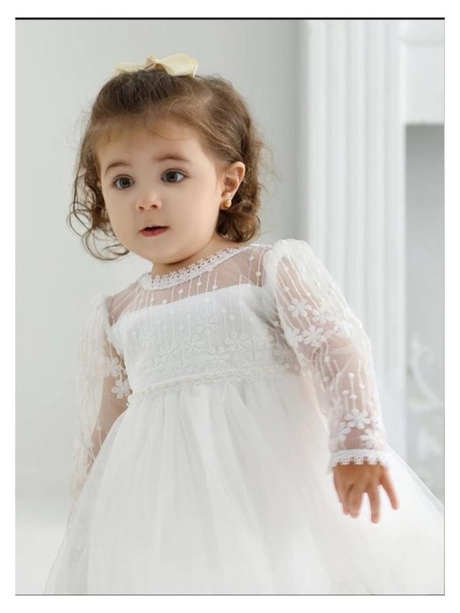 شي إن فستان أميرة بدانتيل مطرز بزهور أنيق أكمام طويلة الى , ممتاز للحفلة - Image 1