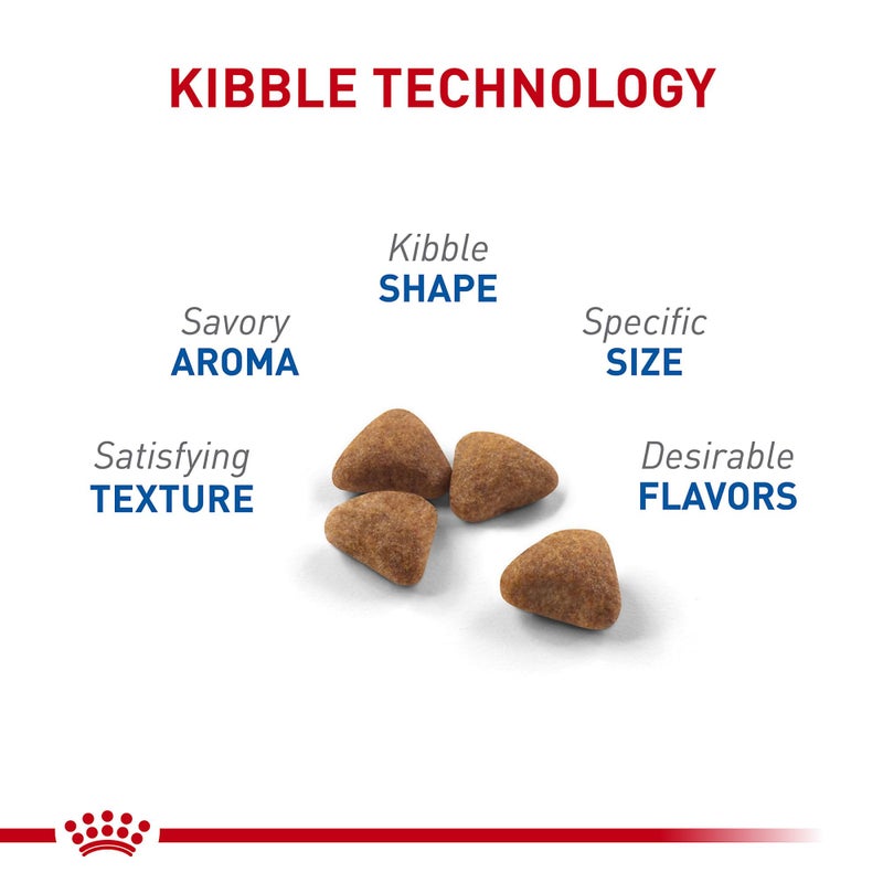 Royal Canin Feline Health Nutrition Indoor Adult Dry Cat Food, 3 lb Bag - Image 2