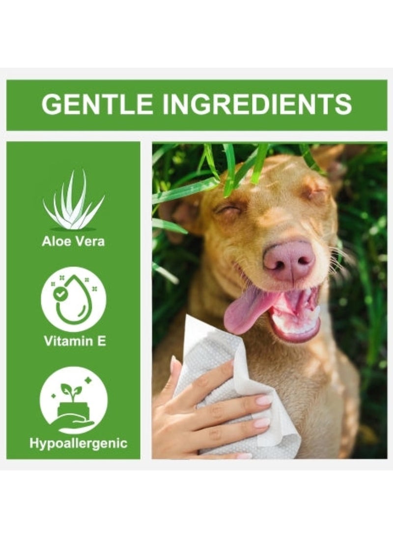 Aloe Vera Scented Sanitary Pet Wipes Suitable For Cats And Dogs