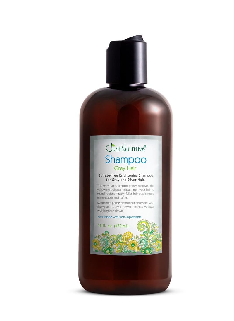 Just Nutritive Just Nutritive Gray Hair Shampoo | Gray Hair Treatment | Just Natural Hair Care | Natural Shampoo 16 Oz  - Image 1