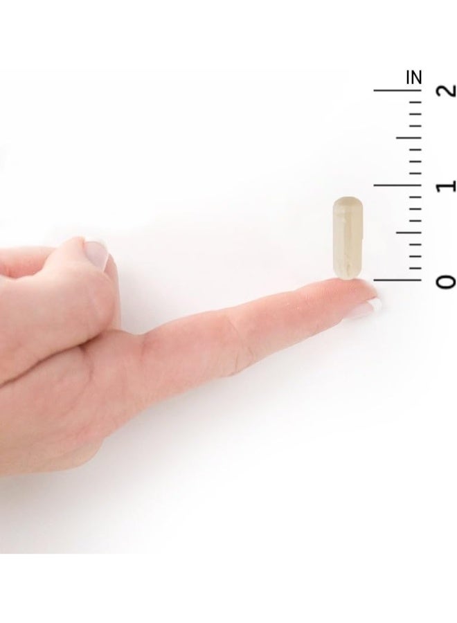 Garden of Life Dr. Formulated Probiotics Once Daily Prenatal Probiotic Support For Mom And Baby - 30 Vegetarian Capsules - Image 5