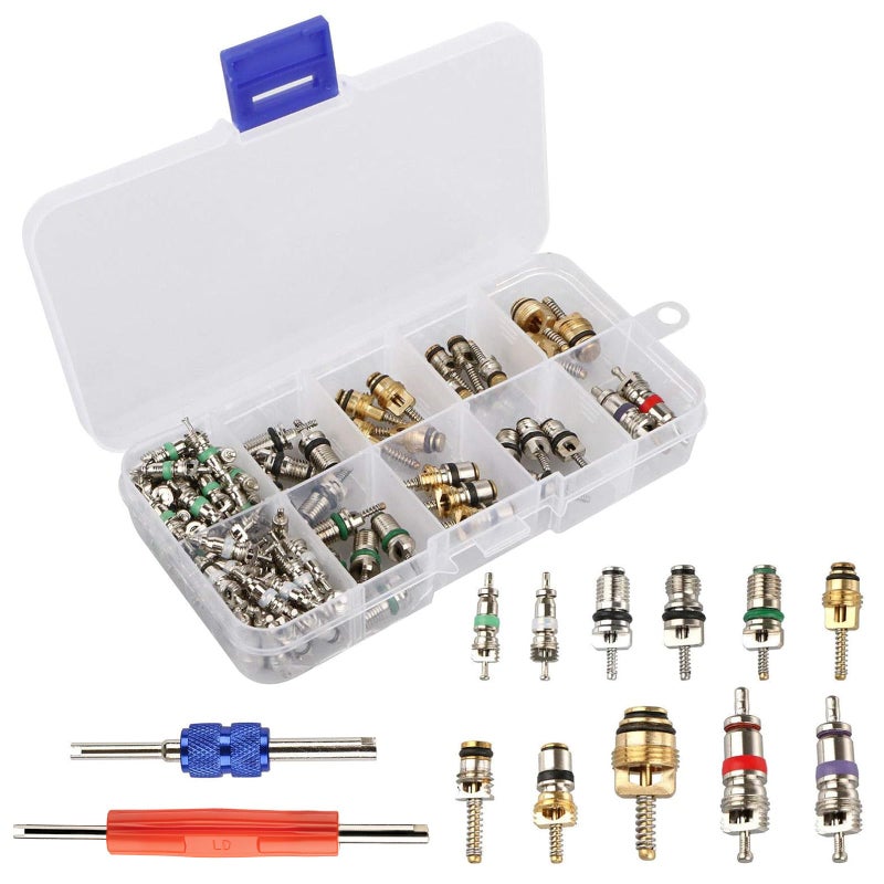 ROSY PIXEL Diking R134a R12 AC HVAC Air Conditioner Schrader Valve Stem Core Remover Tool 102Pcs