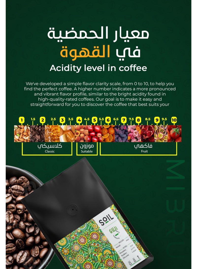 SOIL Coffee bean Ethiopia Guji Dried for Espresso And Filter Corps 250G Unground roasted coffee beans for specialty coffee - Whole Beans - Image 4