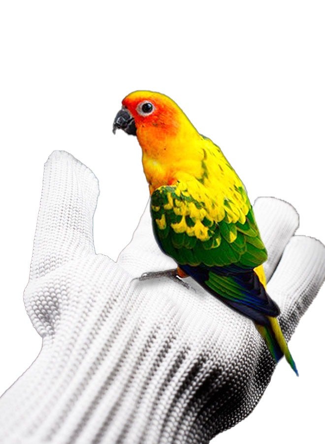 ZVEV Bird Training Anti Bite Gloves, Parrot Chew Safety Gloves, Parrot Small Animal Handling Gloves Cockatiel Finch Macaw（White） - Image 2
