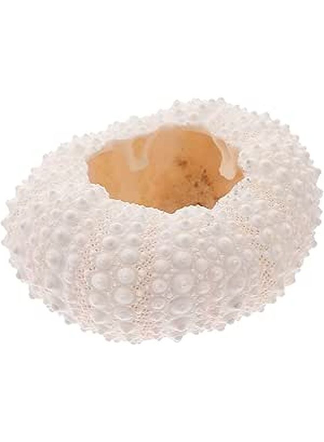 Natural Coral Photography Props For Nail Decoration And Crafts Undersea Theme Decor - Image 1