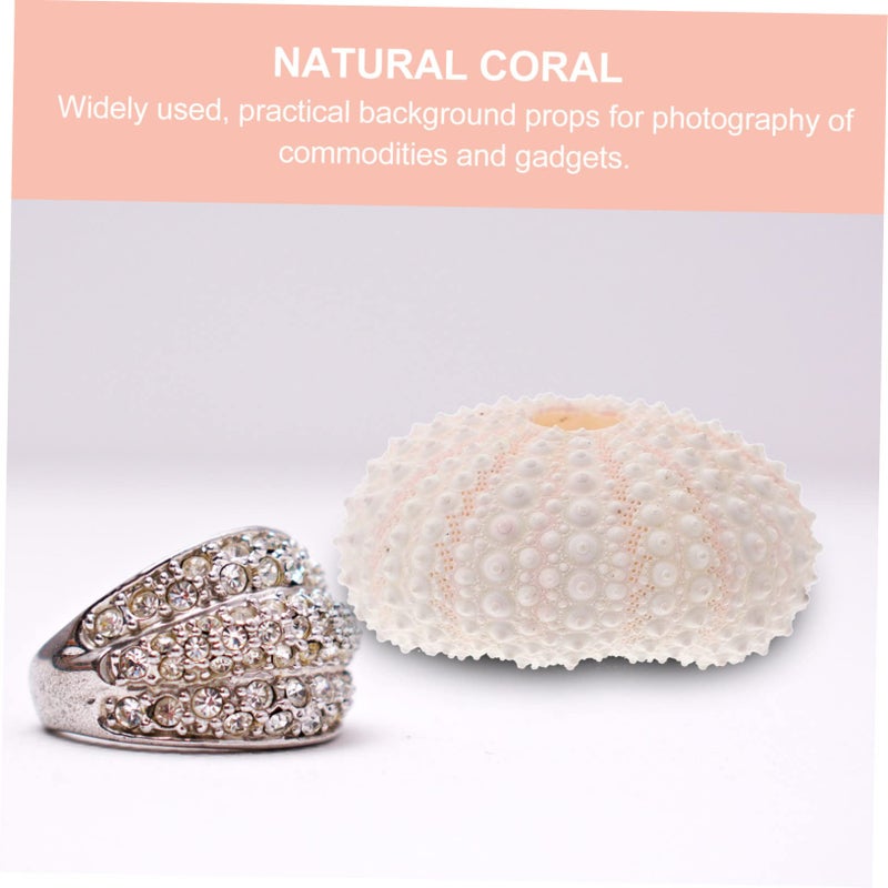 Natural Coral Photography Props For Nail Decoration And Crafts Undersea Theme Decor - Image 3