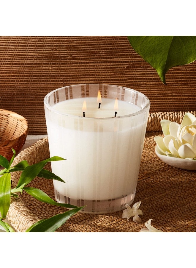 Nest New York NEST New York Scented 3-Wick Candle, Bamboo - 21.2 oz - Up to 100-Hour Burn Time - Reusable Glass Vessel  - Image 3