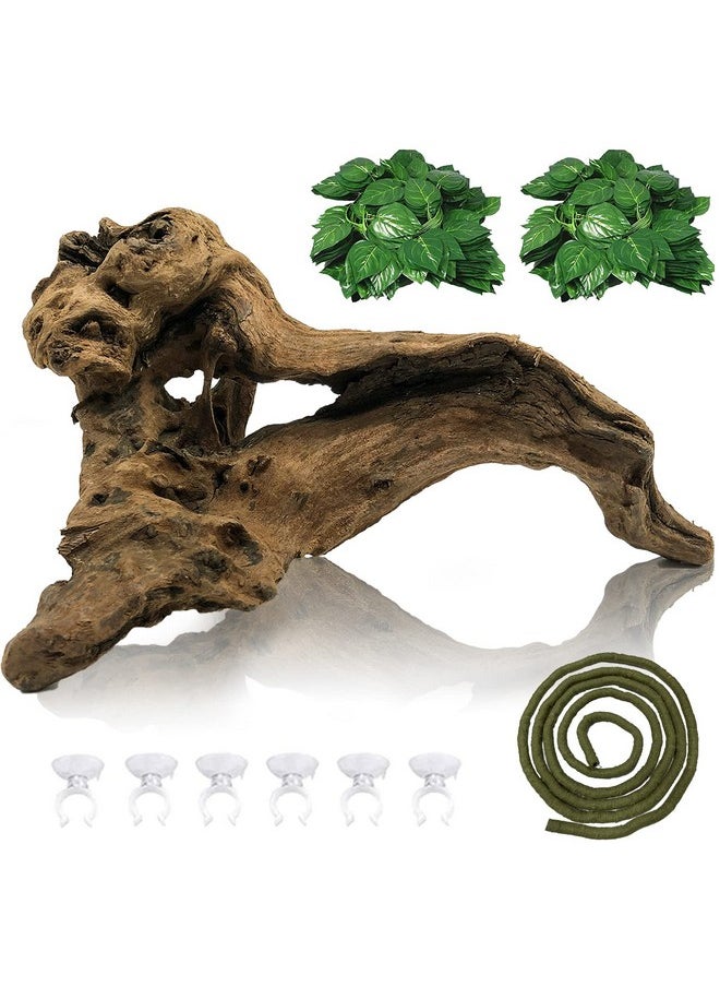 Hamiledyi Reptile Driftwood Branch Decor Terrarium Ornament Wood Climbing Natural Aquarium Driftwood Decoration For Snake Bearded Dragon Leapord Gecko Lizard Iguana Chameleon  - Image 1