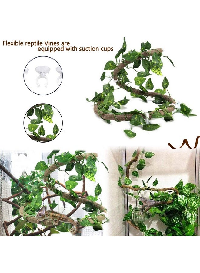 Hamiledyi Reptile Driftwood Branch Decor Terrarium Ornament Wood Climbing Natural Aquarium Driftwood Decoration For Snake Bearded Dragon Leapord Gecko Lizard Iguana Chameleon  - Image 5