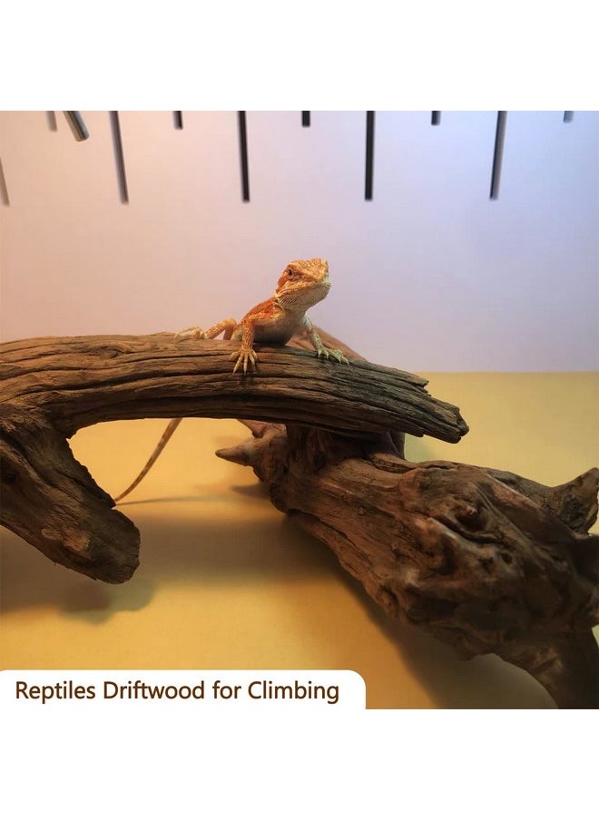 Hamiledyi Reptile Driftwood Branch Decor Terrarium Ornament Wood Climbing Natural Aquarium Driftwood Decoration For Snake Bearded Dragon Leapord Gecko Lizard Iguana Chameleon  - Image 3