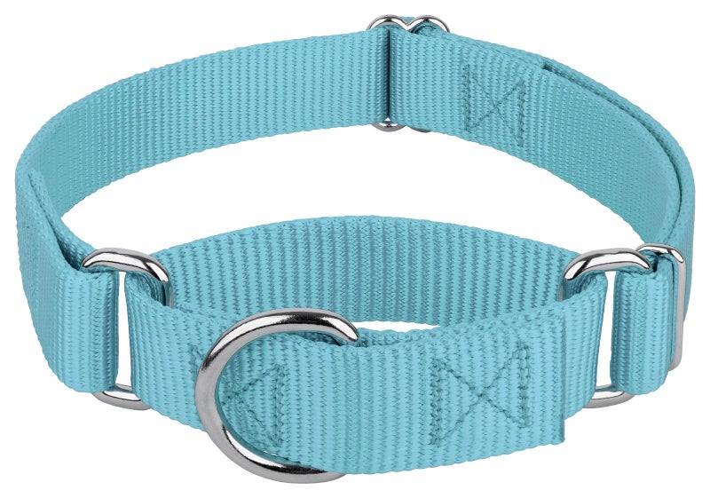 Country Brook Design Country Brook Petz - Martingale Dog Collar - Heavy-Duty Training Collar with No Buckle - Service Dog Collar for All Pups - 10+ Cool Colors (Ocean Blue, 1 Inch, Medium) - Image 1