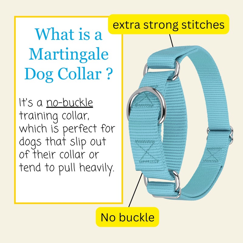 Country Brook Design Country Brook Petz - Martingale Dog Collar - Heavy-Duty Training Collar with No Buckle - Service Dog Collar for All Pups - 10+ Cool Colors (Ocean Blue, 1 Inch, Medium) - Image 5