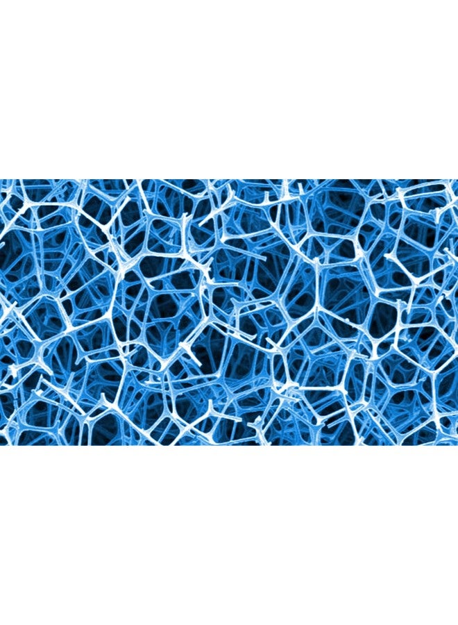 سي تشيم وسادة الطحالب الثنائية من سيتشيم، بيضاء، 25 ملم - Image 2