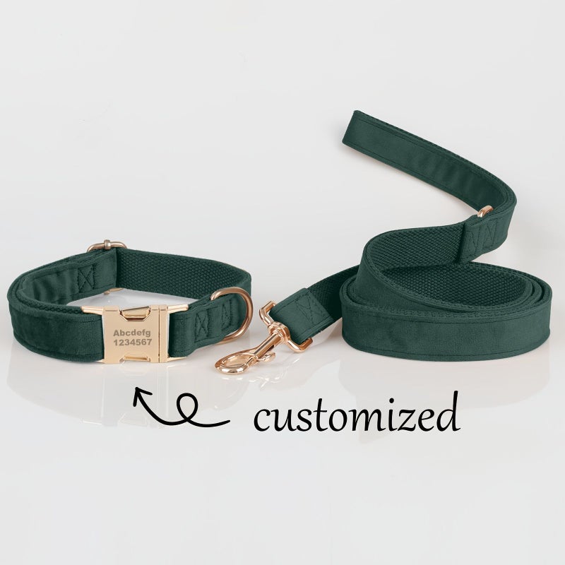 Personalized 2pcs Pet Collar And Leash Set In Black Size S Customizable With Name And Owner Phone Number Ensures Dog Identity Prevents Loss Suitable For Birthday Parties Outdoor Activities - Image 1