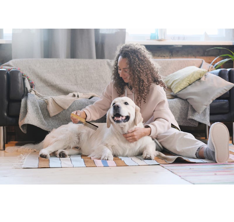 Trixie: - Medium Toothed Comb for Pets, Made with Wooden Handle for Easy Grip, Pet Grooming Tool Helps to Remove Fleas, Helps in Detangling Matted Fur, Removes Extra Hair - 18 cm (Pack of 3) - Image 5