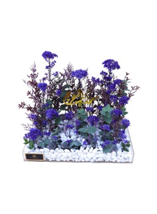 Blue Design 531 - pzsku/Z7CB4F4F9A507E9D436D3Z/45/_/1730197758/e24bd428-22b2-49dd-850f-6ecd4701959c