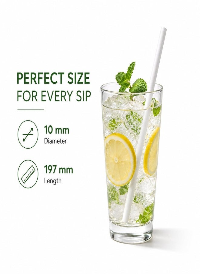 Ambassador || Paper Straws 10 mm - Individually Paper Wrapped 100% Biodegradable - (Pack of 50pcs - Image 4