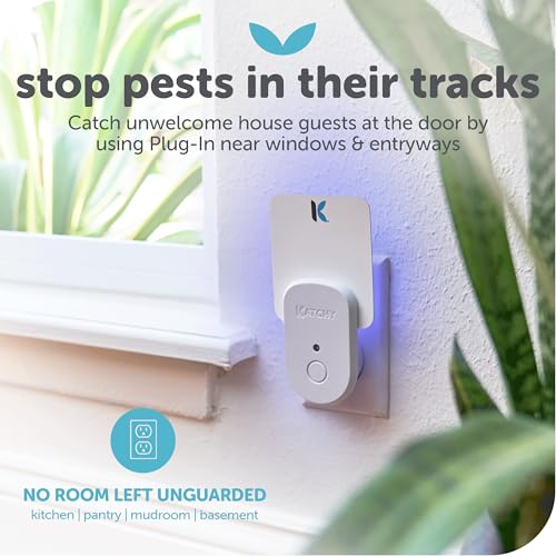 Katchy Plug-in Fly Trap Indoor – Blue Light Bug Catcher for Mosquito, Gnat, Fruit Fly & Small Moth – Chemical-Free & Eco-Friendly – All Indoor Areas: Kitchen, Living Room & Plants (2 Pack) - Image 4