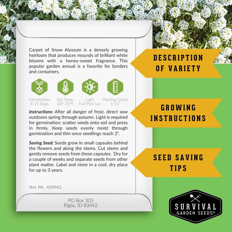 SURVIVAL GARDEN SEEDS White Alyssum Seeds for Planting - Sweet Carpet of Snow Alyssum Flowers - Fragrant Perennial Blooms, Ground Cover - Heirloom Non-GMO - Survival Garden Seeds (1 Pack) - Image 2