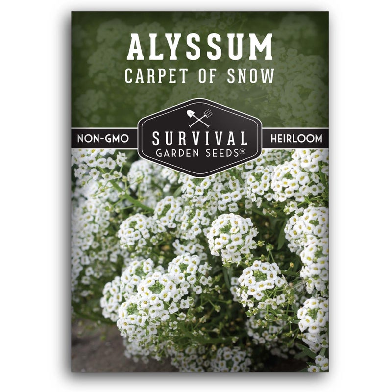 SURVIVAL GARDEN SEEDS White Alyssum Seeds for Planting - Sweet Carpet of Snow Alyssum Flowers - Fragrant Perennial Blooms, Ground Cover - Heirloom Non-GMO - Survival Garden Seeds (1 Pack) - Image 1