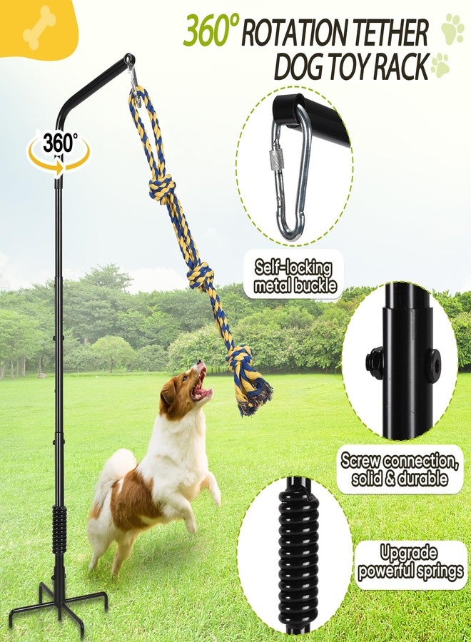 AugFir Tether Outdoor Dog Rope Toy with Strengthen Spring Pole, 3 Kinds Dog Tug of War Toys for Self Play and Interactive in Park, Yard, Lawn Rope, Suitable for Large Medium Small Dogs (Black) - Image 2