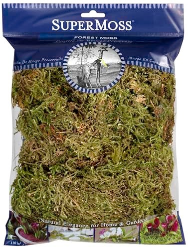 SuperMoss (21576) Dried Forest Moss Decorative Table Centerpiece Fairy Garden Potted Plant Decor, Natural Green, Appx. 4 oz - Image 1