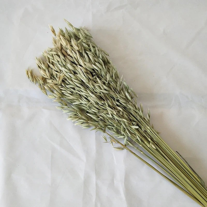 Bluejw Natural Dried Flower Bouquet - Pampas Grass, Northern Sea Oats & Preserved Chasmanthium Latifolium for Home Decor, Dried Plants - Image 2
