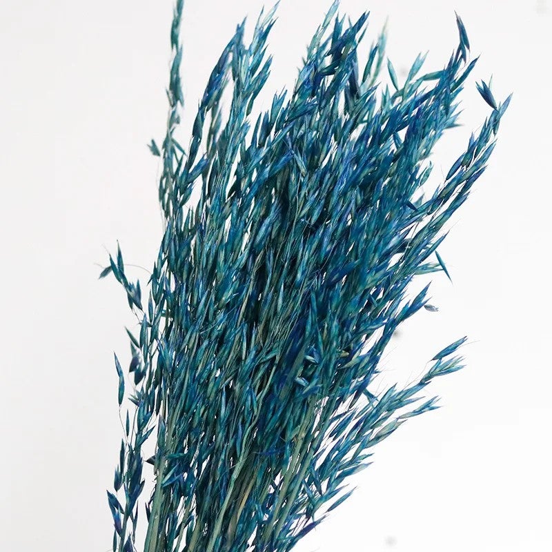 Bluejw Natural Dried Flower Bouquet - Pampas Grass, Northern Sea Oats & Preserved Chasmanthium Latifolium for Home Decor, Dried Plants - Image 1