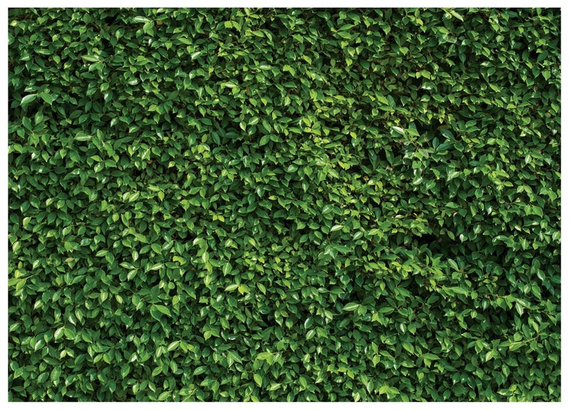 WOLADA Grass Wall Backdrop Green Leaf Banner 10x8FT 10923