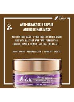 THE MANE CHOICE Ancient Egyptian Anti-Breakage & Repair Antidote Hair Mask, 8 Ounce  - Image 3
