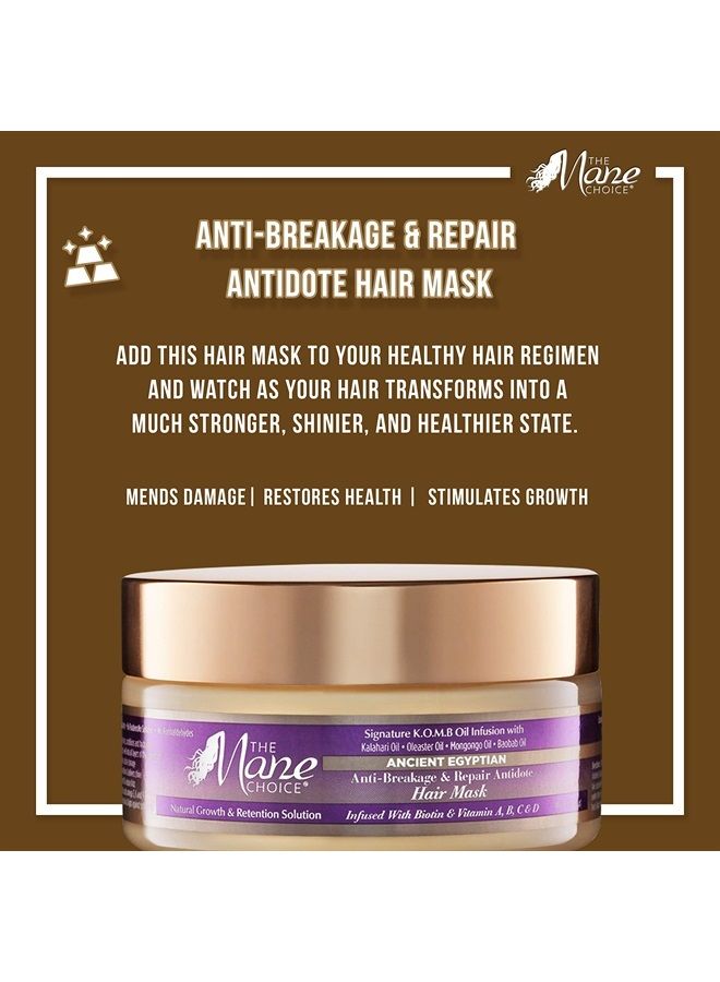 THE MANE CHOICE قناع الشعر المصري القديم المضاد للكسر والإصلاح، 8 أونصة - Image 3