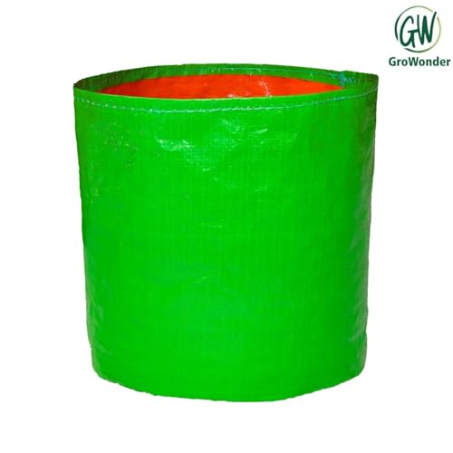 GroWonder Plant Container Set, Grow Bags 15X15 inches, 230 GSM Strong, Terrace Gardening Vegetable Planting Bags, Woven Fabric Leafy Fruits Growing Containers, Pack of 1 - Image 3