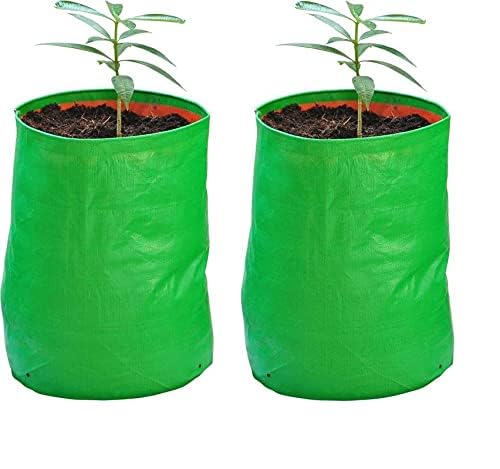 GroWonder Plant Container Set, Grow Bags 15X15 inches, 230 GSM Strong, Terrace Gardening Vegetable Planting Bags, Woven Fabric Leafy Fruits Growing Containers, Pack of 1 - Image 5