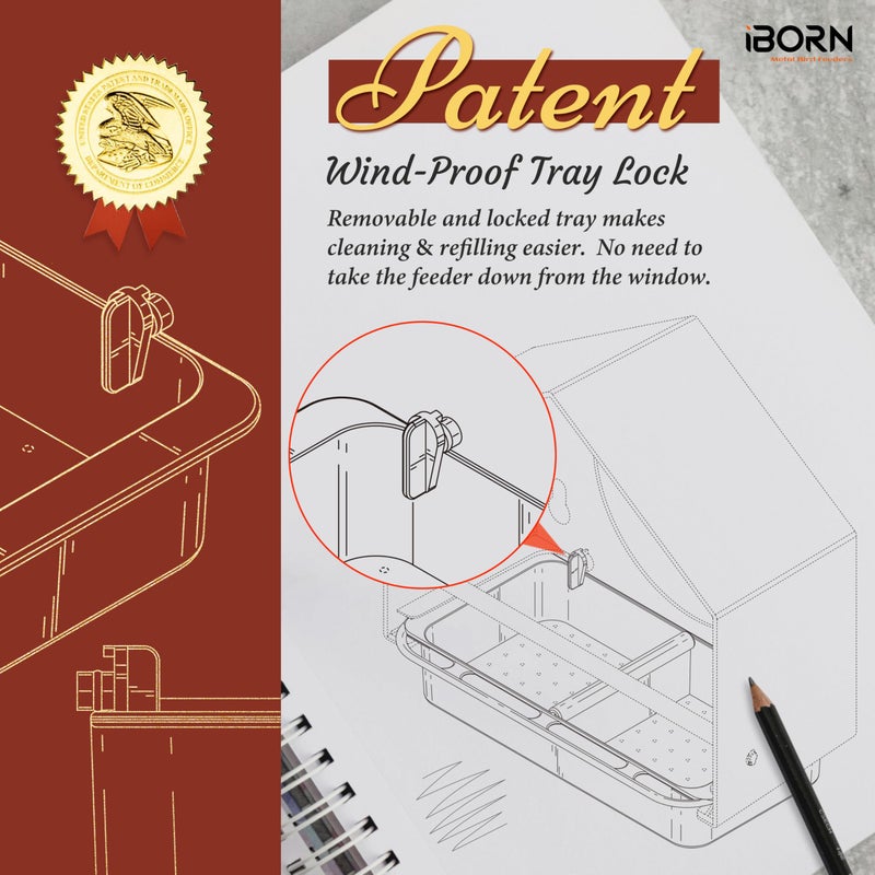 iBorn 2026 New Window Bird Feeders for Outdoors Wind-Proof Tray Lock,Cardinal Bird Feeder with Strong Suction Cups for Window Birds Watching, Chewproof PC, for Parent &Child - Image 3