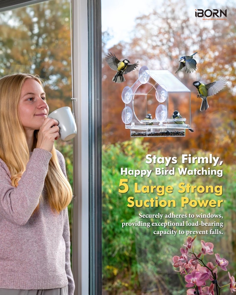 iBorn 2026 New Window Bird Feeders for Outdoors Wind-Proof Tray Lock,Cardinal Bird Feeder with Strong Suction Cups for Window Birds Watching, Chewproof PC, for Parent &Child - Image 5
