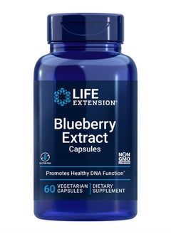 Blueberry Extract Capsules - Whole Fruit Wild Blueberry Extract Supplement Pills- For Brain Health Support - Non-GMO, Gluten-Free ,Vegetarian - 60 Capsules
