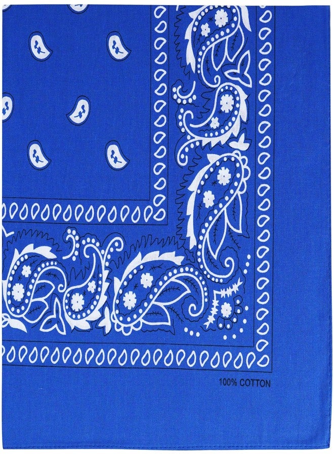 Raylarnia Bandana Multi-Purpose 100% Cotton Headbands for Women, 22 inch Paisley Cowboy Bandanas for Men - Image 1