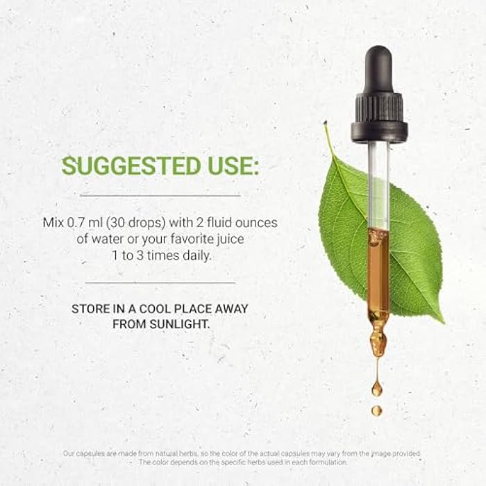 Secrets of the Tribe Quit Secret Alcohol-Free Extract, Licorice,Lungwort,Nutmeg,St. John's Wort. Glycerite Tincture, Nicotine Withdrawal Support (2 fl oz) - Image 3