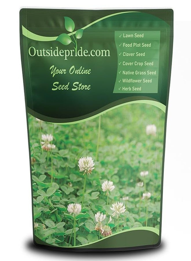 Outsidepride Perennial White Dutch Clover Seed - 2 lbs. Nitrocoated, Inoculated Clover Seeds for Lawn Alternative, Erosion Control, Food Plots, Ground Cover, & Pasture Mixtures in USDA Zones 3-10 - Image 1
