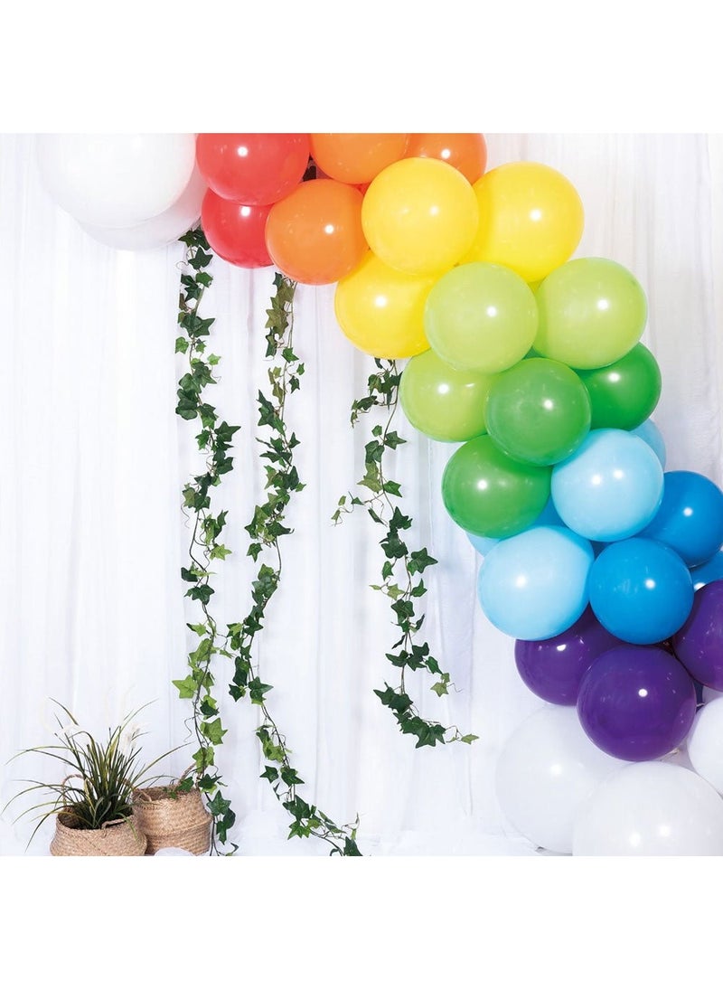 Balloonking Balloon Arch Kit Rainbow Colors Latex DIY 54-Pack 5m - Image 1