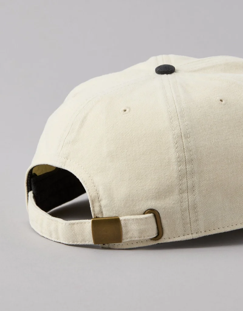 American Eagle AE Logo Baseball Hat