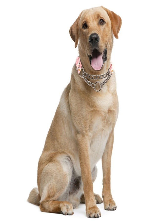 cyhaen Choke Chain for Dogs,Martingale Dog Collar for Large Dogs,Training Escape Proof Heavy Duty Dog No Pull Dog Collar for Medium Large Pet Boy Male Dogs,Pink Daisy L - Image 2
