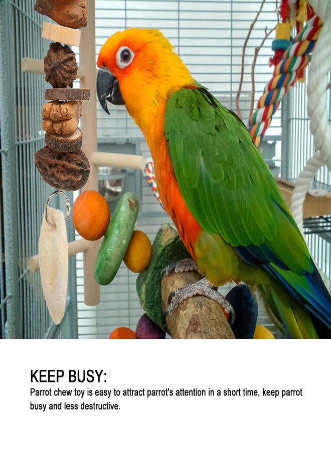 زيروديس ألعاب مضغ الببغاء من زيروديس، لعبة مضغ المكسرات للببغاء، عصا طحن فم الطيور، لعبة البحث عن الطعام للطيور، أعواد مكافآت الطيور للكوكاتيل والببغاوات الصغيرة - Image 3