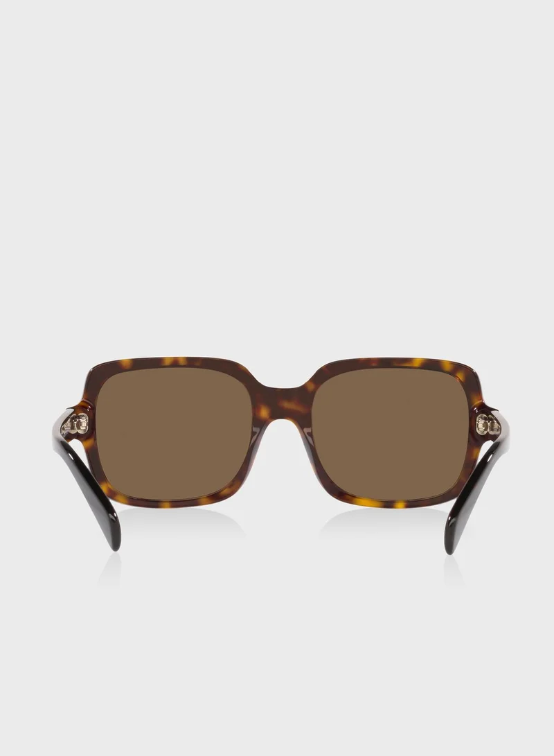 EMPORIO ARMANI 0Ea4195 Sunglasses