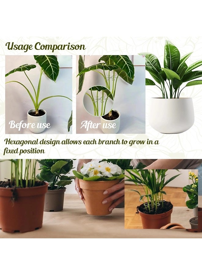 شيبشيب عدد 16 مشبك دعم سيقان النباتات، دعم سيقان نباتات التسلق المنزلية، أوتاد دعم النباتات الداخلية، مناسبة لنمو المونستيرا والبوتوس والكروم بشكل عمودي - Image 5